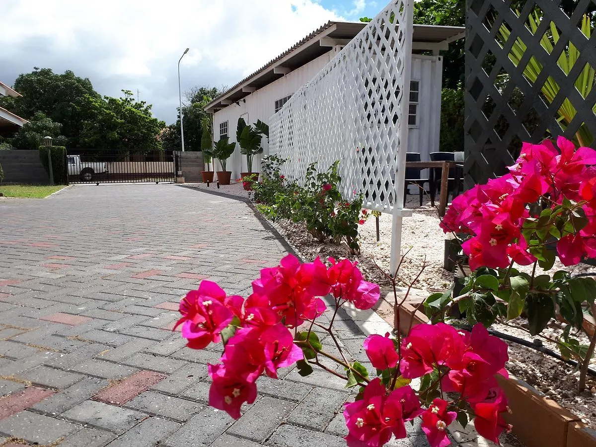 Palm Trees Apartments Willemstad