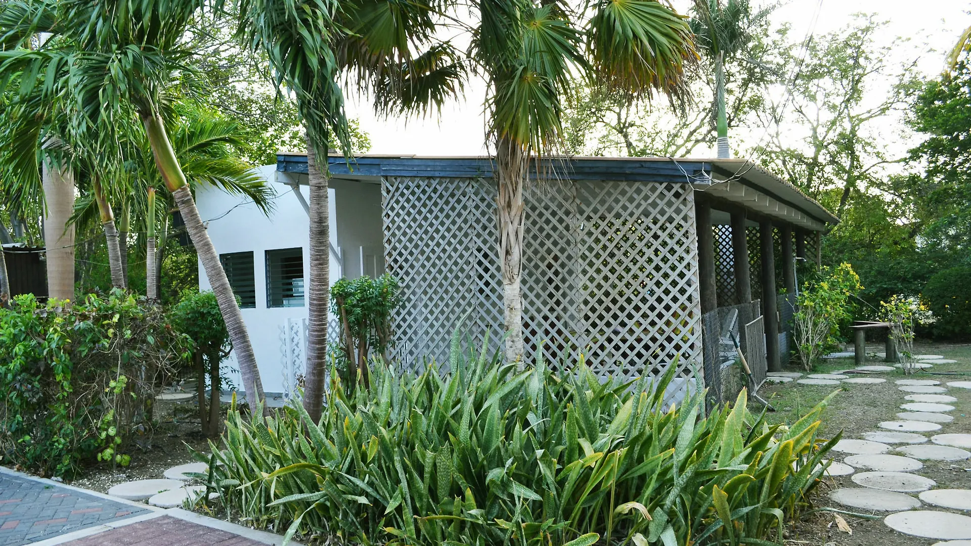 Palm Trees Apartments Willemstad